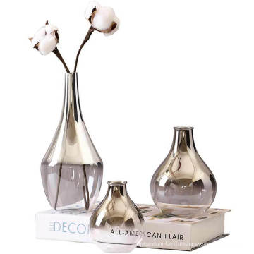 Home Decoration Gift glass Vase